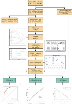 A New Online Dynamic Nomogram: Construction and Validation of an Assistant Decision-Making Model for Laryngeal Squamous Cell Carcinoma